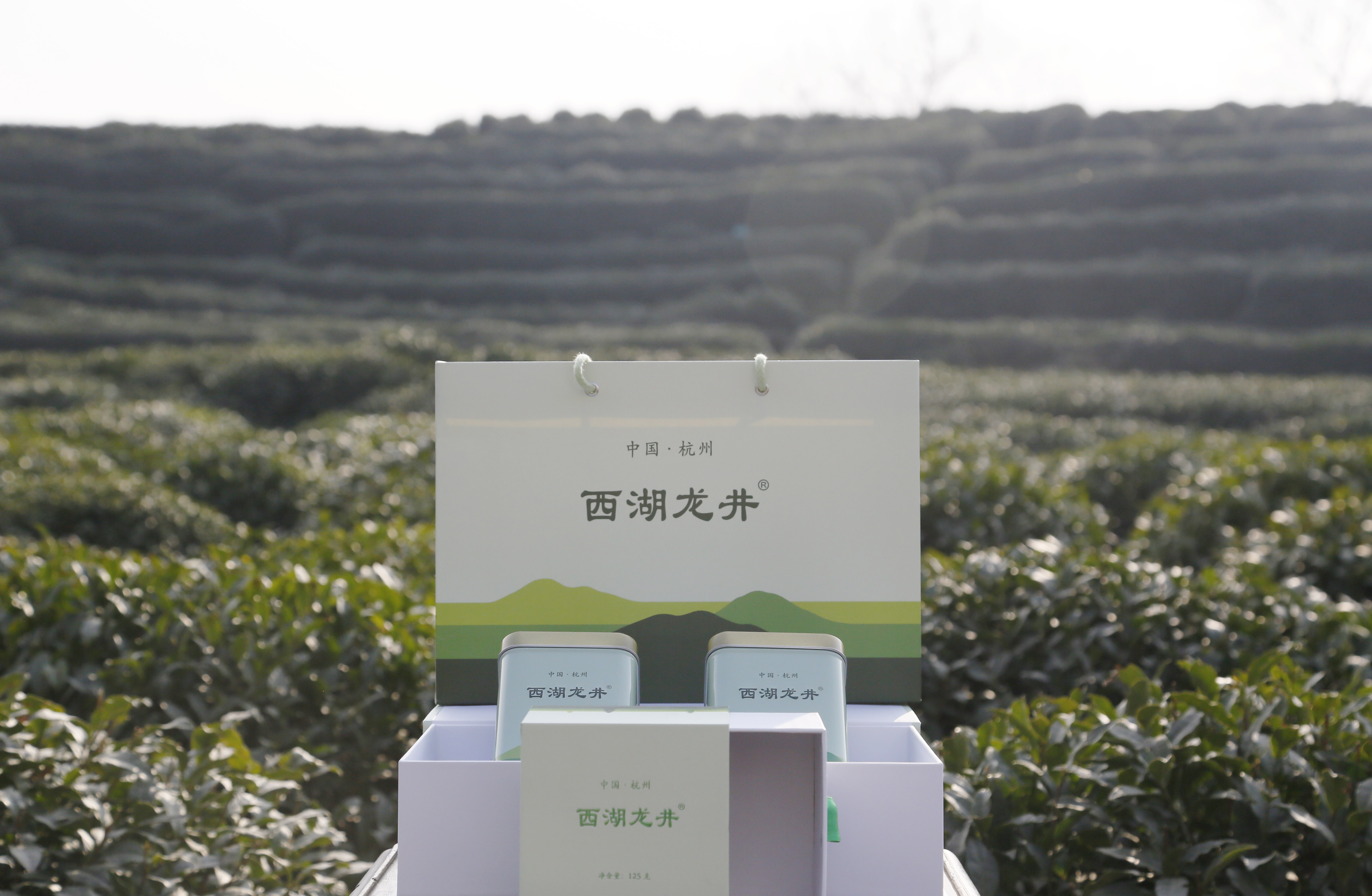 除了使用茶农统一包装,在包装外面仍然要贴上西湖龙井茶的茶标才能